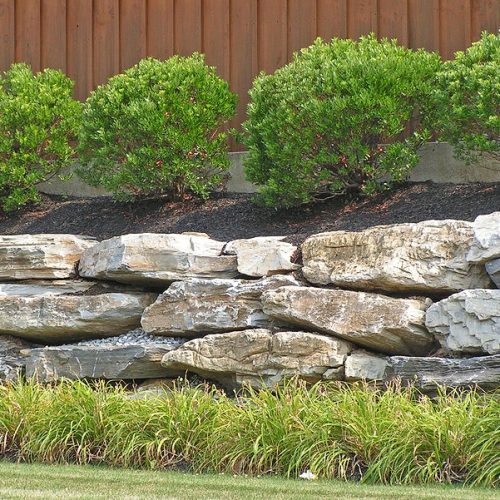 Boulder retaining wall at a commercial site with Inkberry Holly and Daylily