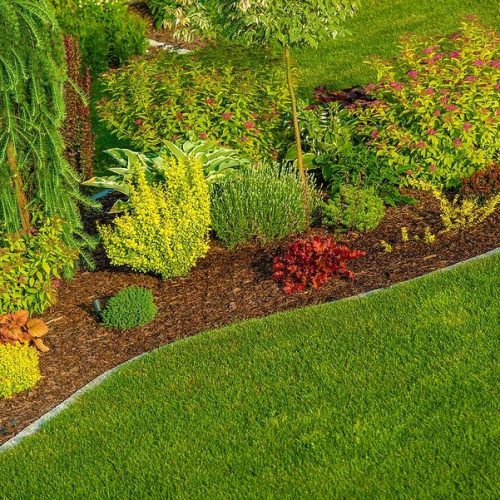 Newly Designed Garden Closeup Photo. Backyard Garden.